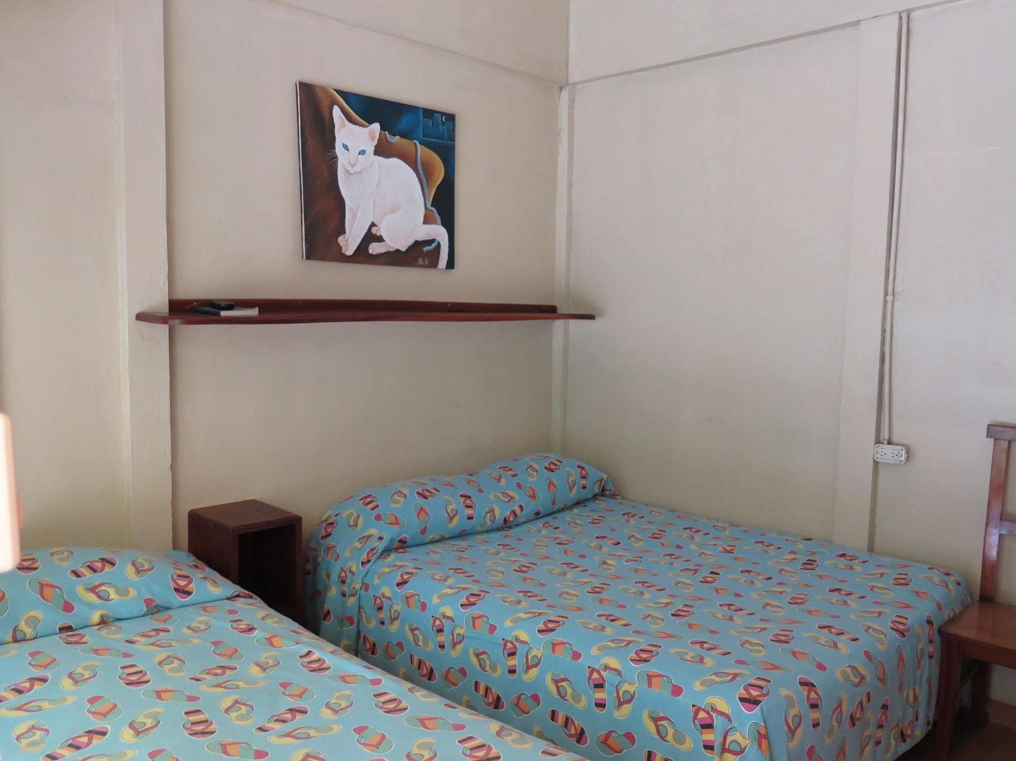 Hotel Savannah Playas del Coco エクステリア 写真