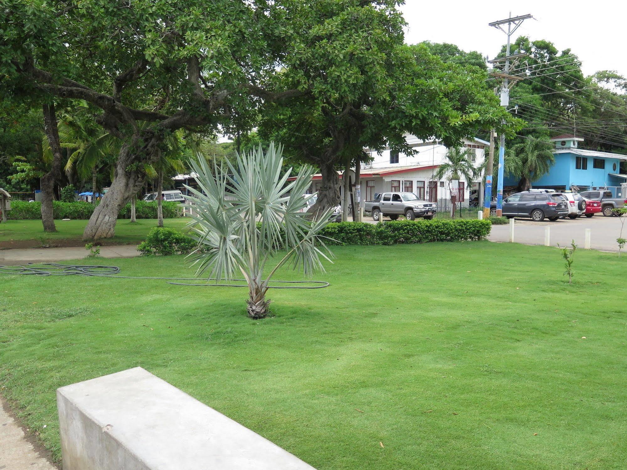 Hotel Savannah Playas del Coco エクステリア 写真